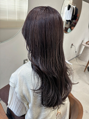 ＆ Graph.×ロング