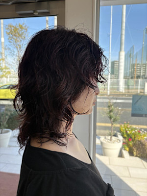 【Hiroデザイン】ウルフパーマ×ボルドールビー