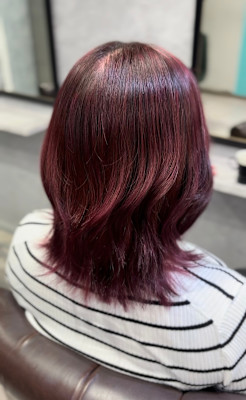 カシスボルドー×ハイライト