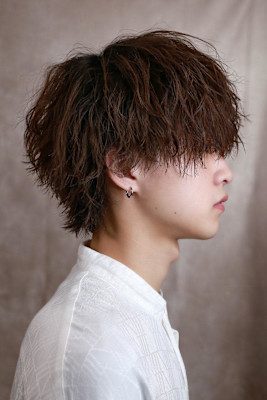 ソフトミニウルフ