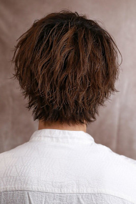 ソフトミニウルフ