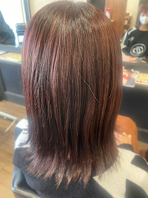 ボルドーカラー