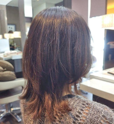 ウルフレイヤー