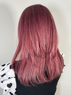 Cerisier×スタイル