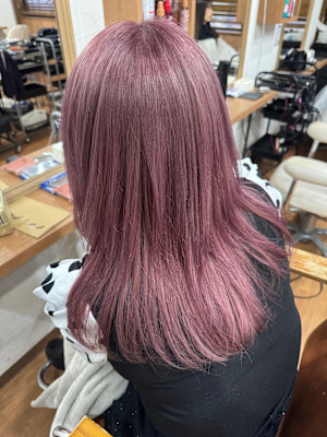 Cerisier×スタイル