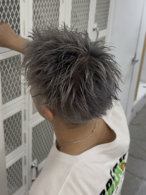 シルバー/グレー/シャドウルーツ