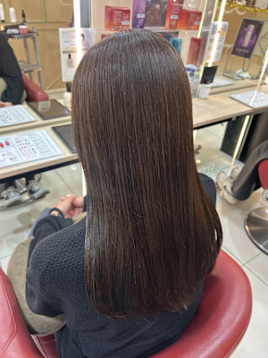 赤みなし上品ブラウン