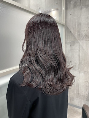 ダークラベンダー