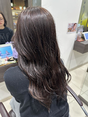 イルミナカラー