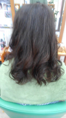 せぴあ×スタイル