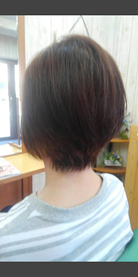 せぴあ×スタイル