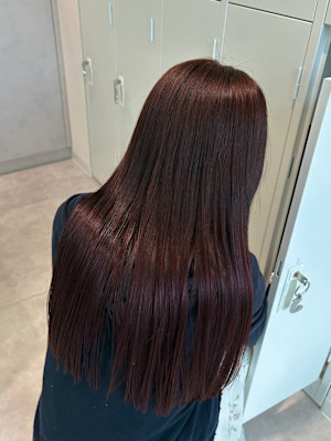 レッドブラウン / 髪質改善 / トリートメント