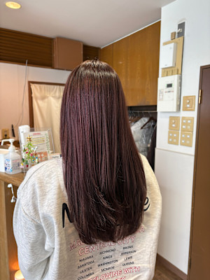 〈江戸桃海〉ピンクカラー/ピンクブラウン/ダブルカラー