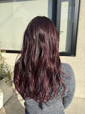 ピンクラベンダー