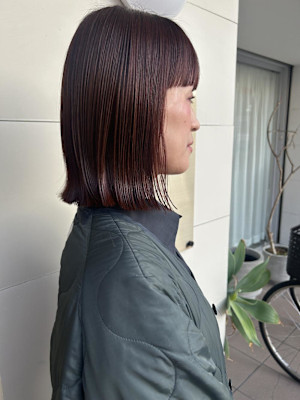 レッドブラウン×ボブ