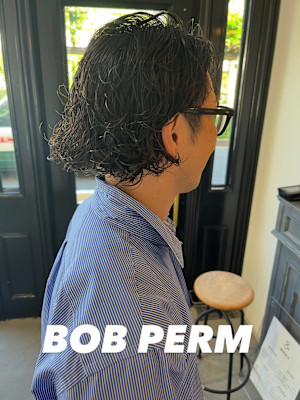 bobperm