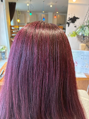 PLUS 六地蔵店×スタイル