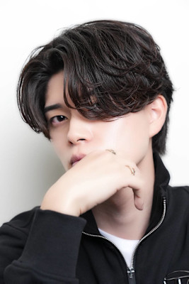 毛流れパートスタイル