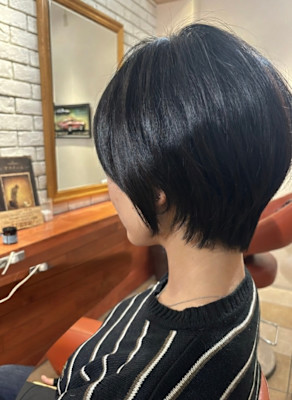 凛とした美しさ！黒髪コンパクトショート【031スタイル】