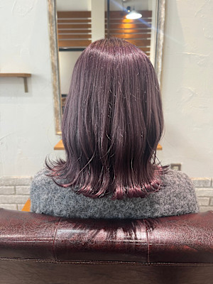 ラベンダーシルバー/パープルシルバー/ラベンダーカラー