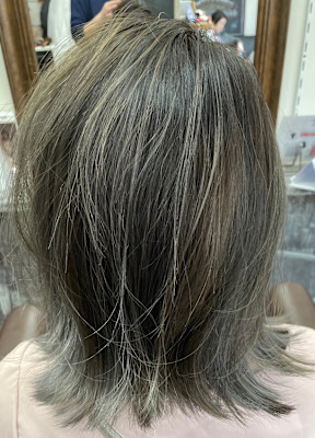 サロンヘアー・プラス×スタイル