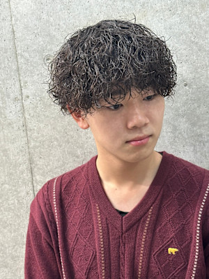 Alma four×スタイル