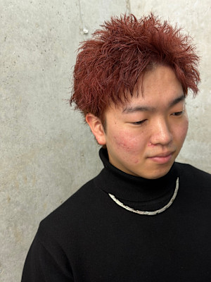 Alma four×スタイル