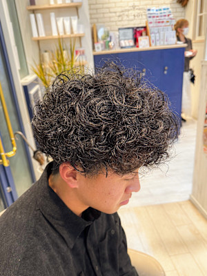 プードルパーマ/ハードパーマ