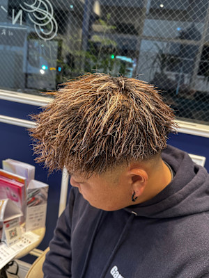 パイルツイスト/ホワイトメッシュ