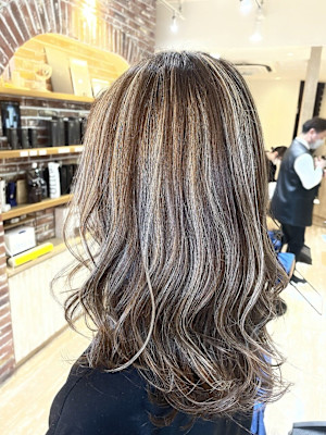 コントラストハイライト/白髪ぼかし/下赤塚