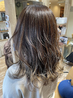 ナチュラルハイライト/アッシュオリーブ/下赤塚