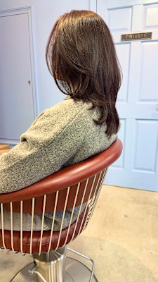 ミディアムレイヤー