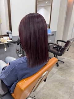 ボルドーカラー