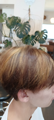 ブリーチカラー