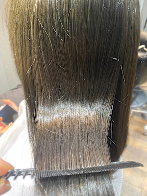 Lilly's 亀有×スタイル