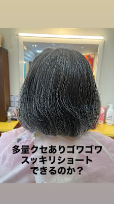 マッシュレイヤーウルフ