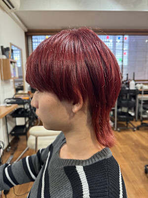 Cerisier×スタイル