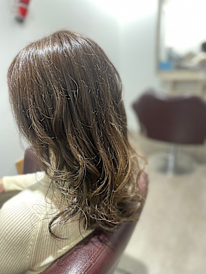 シルキーグレイッシュ✕ハイライト