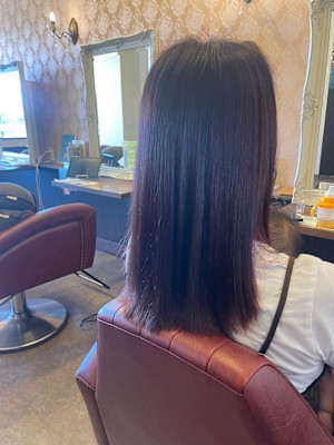 Pixie Bob×スタイル