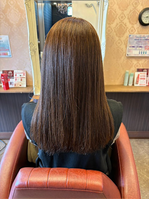 Pixie Bob×スタイル