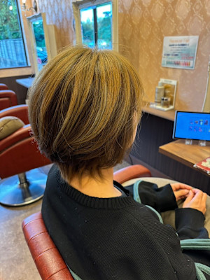 Pixie Bob×スタイル