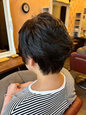 Pixie Bob×スタイル