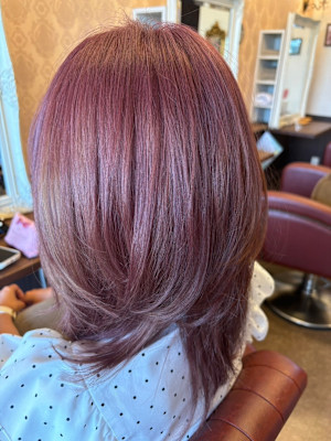 Pixie Bob×スタイル