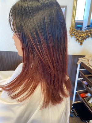 Pixie Bob×スタイル