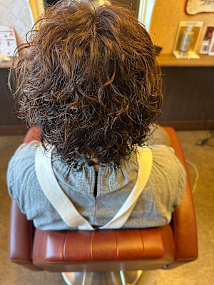 Pixie Bob×スタイル