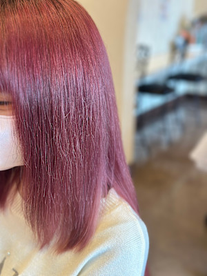 Pixie Bob×スタイル