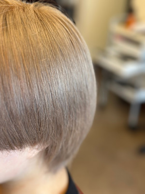 Pixie Bob×スタイル