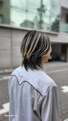 ハイレイヤーウルフ×デザインカラー