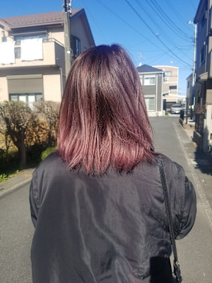 ラベンダーピンクバレイヤージュ