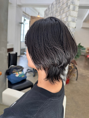 ショートウルフ.